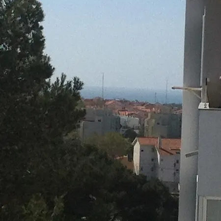 Mario Viegas Cascais